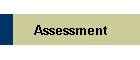 Assessment
